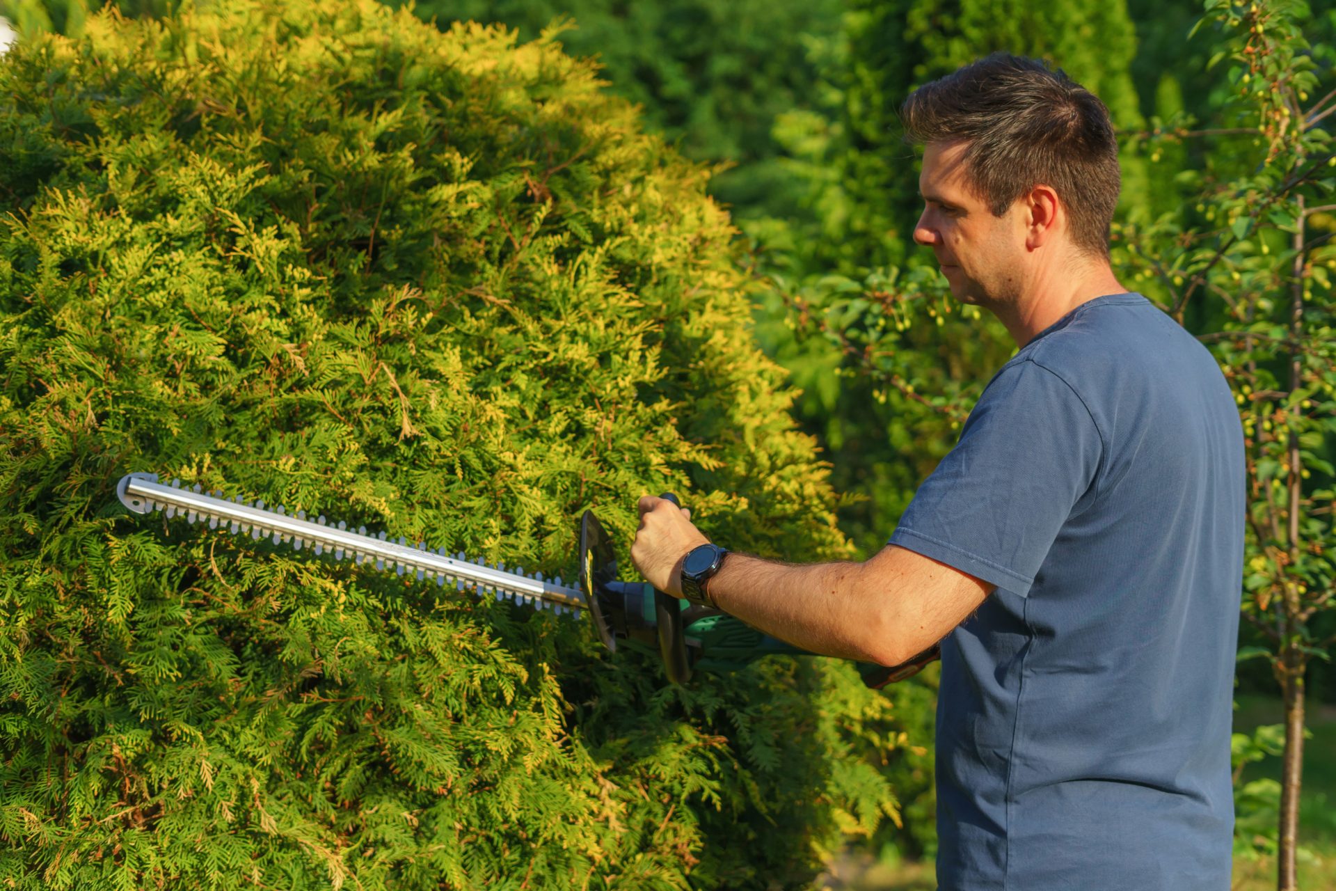 Ein Mann formt mit einem elektrischen Heckenschneider eine Gartenhecke und beweist dabei präzise Fähigkeiten im Landschaftsbau.